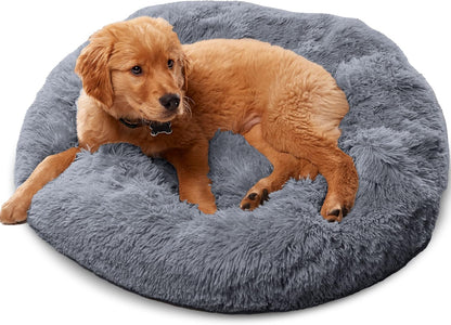 Premium Dog Beds for Large Dogs and Medium Dogs - Portable Dog Beds & Furniture - Fits up to 45 Lbs, (Medium, Dark Grey)