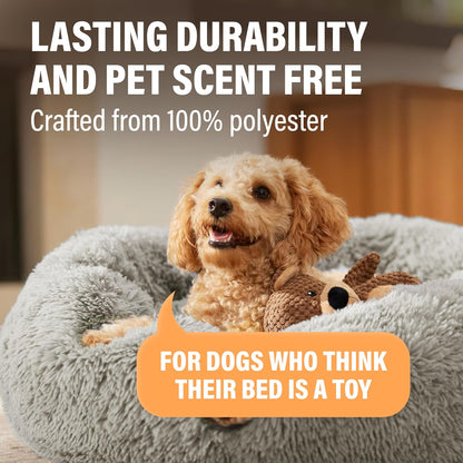 Premium Dog Beds for Large Dogs and Medium Dogs - Portable Dog Beds & Furniture - Fits up to 45 Lbs, (Medium, Dark Grey)